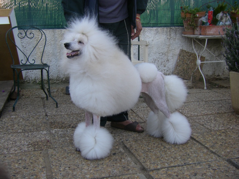 Betty boop de la Fontaine du Beauregard